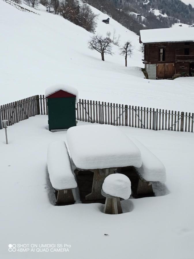 Casa Steilalva - Grosszuegiges Chalet Fuer Erholsamen Familienurlaub Surrein Dış mekan fotoğraf