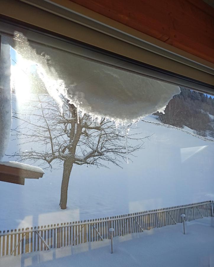 Casa Steilalva - Grosszuegiges Chalet Fuer Erholsamen Familienurlaub Surrein Dış mekan fotoğraf