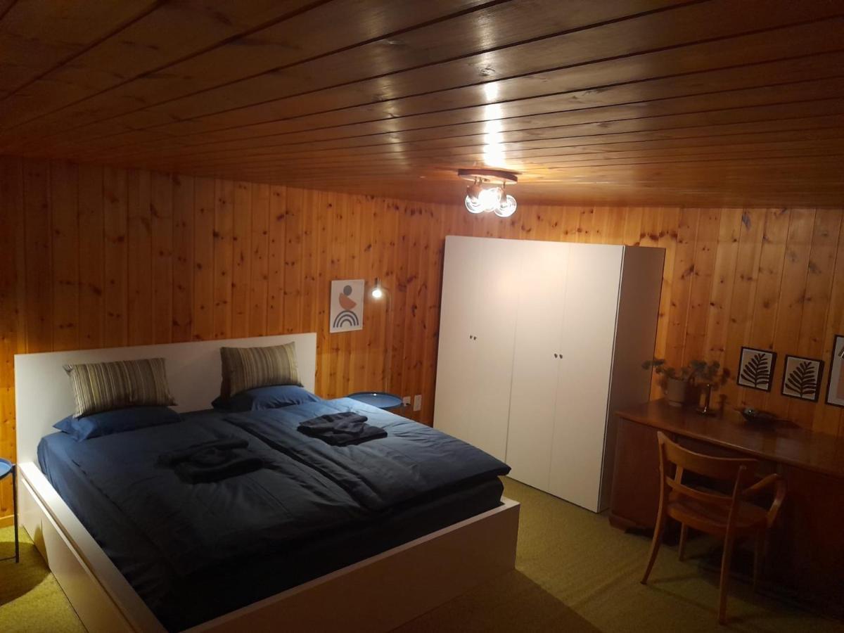 Casa Steilalva - Grosszuegiges Chalet Fuer Erholsamen Familienurlaub Surrein Dış mekan fotoğraf